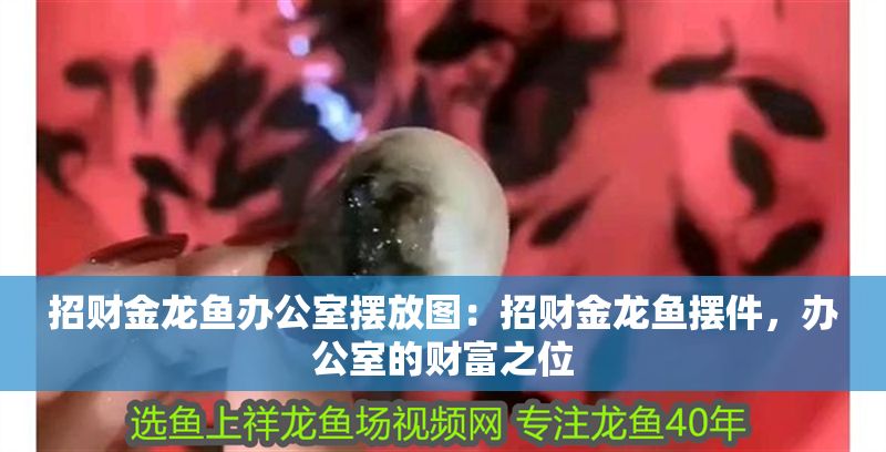 招財(cái)金龍魚(yú)辦公室擺放圖：招財(cái)金龍魚(yú)擺件，辦公室的財(cái)富之位