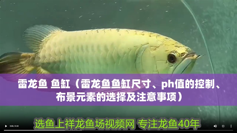 雷龍魚 魚缸（雷龍魚魚缸尺寸、ph值的控制、布景元素的選擇及注意事項） 雷龍魚 魚缸（雷龍魚魚缸尺寸、ph值的控制、布景元素的選擇及注意事項） 龍魚百科