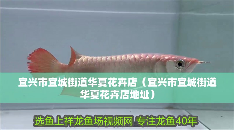 宜興市<strong><mark>宜城</mark></strong>街道華夏花卉店（宜興市<strong><mark>宜城</mark></strong>街道華夏花卉店地址）
