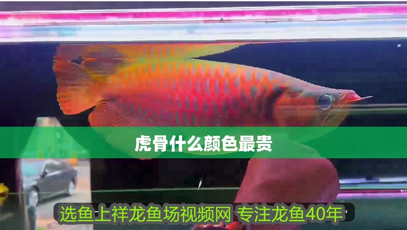虎骨什么顏色最貴