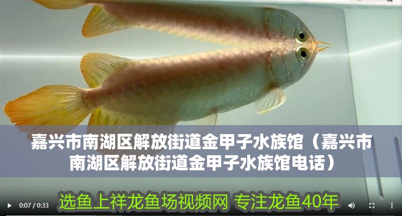 嘉興市<strong><mark>南湖</mark></strong>區解放街道金甲子水族館（嘉興市<strong><mark>南湖</mark></strong>區解放街道金甲子水族館電話）