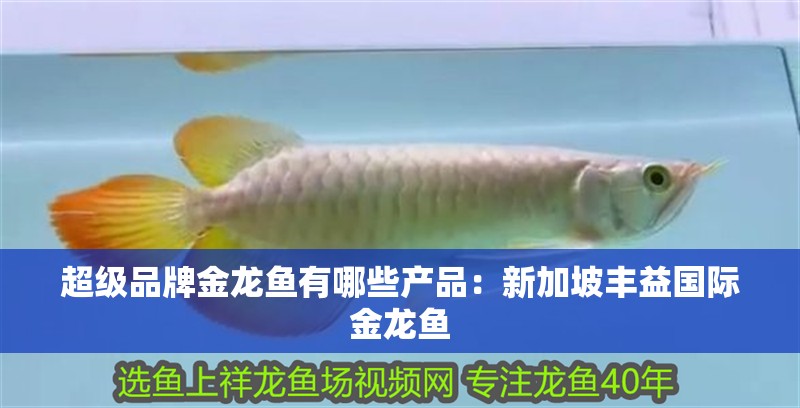 超級品牌金龍魚有哪些產品：新加坡豐益國際金龍魚