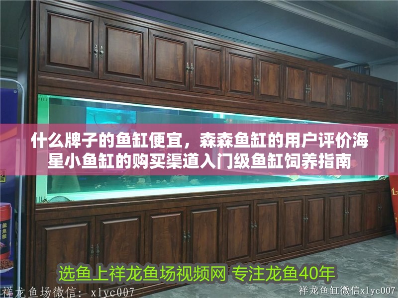 什么牌子的魚缸便宜，森森魚缸的用戶評價海星小魚缸的購買渠道入門級魚缸飼養指南