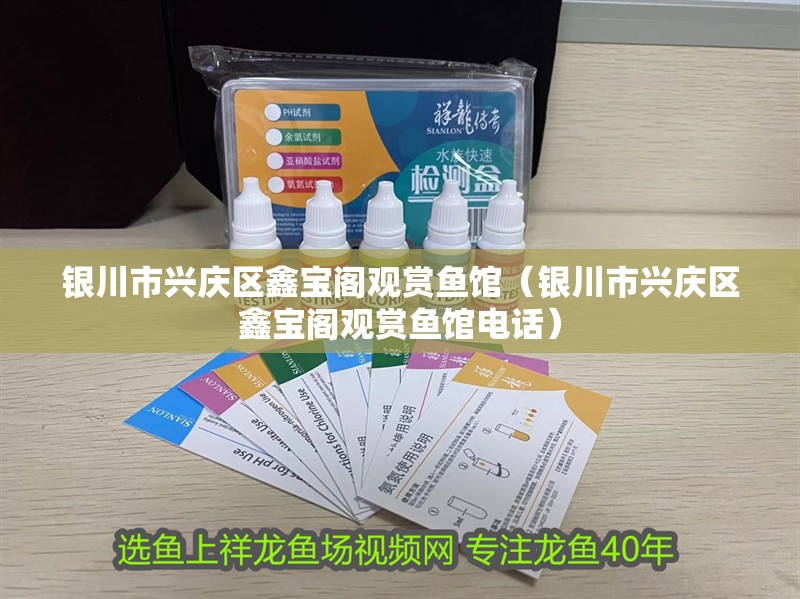 銀川市興慶區鑫寶閣觀賞魚館（銀川市興慶區鑫寶閣觀賞魚館電話）
