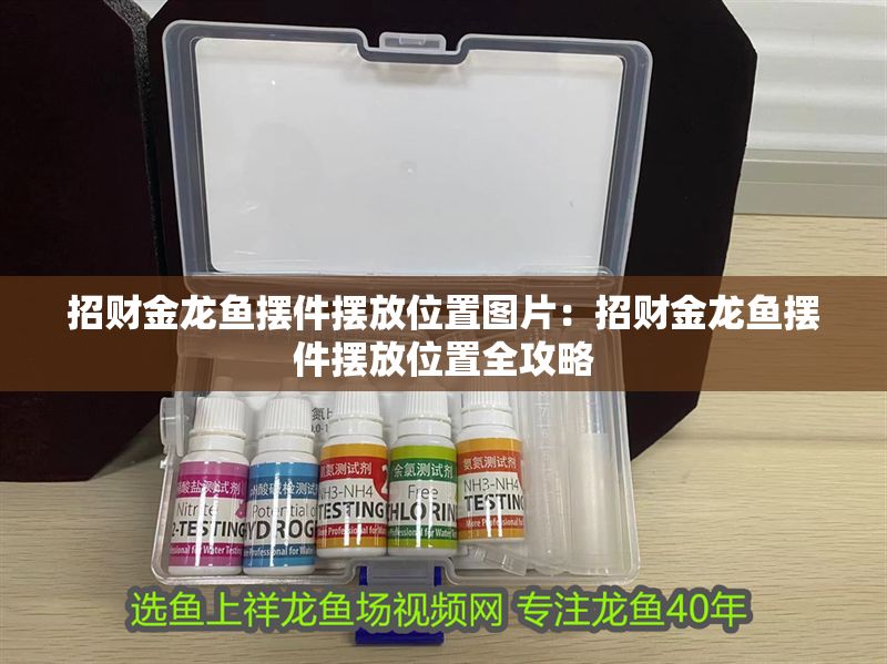 招財金龍魚擺件擺放位置圖片：招財金龍魚擺件擺放位置全攻略