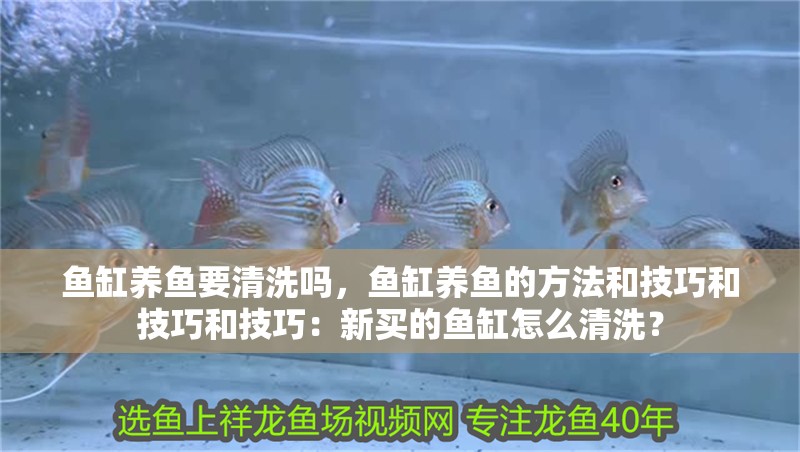魚缸養(yǎng)魚要清洗嗎，魚缸養(yǎng)魚的方法和技巧和技巧和技巧：新買的魚缸怎么清洗？ 魚缸養(yǎng)魚要清洗嗎，魚缸養(yǎng)魚的方法和技巧和技巧和技巧：新買的魚缸怎么清洗？ 魚缸百科