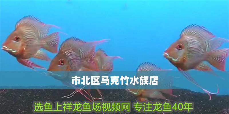 市北區馬克竹水族店