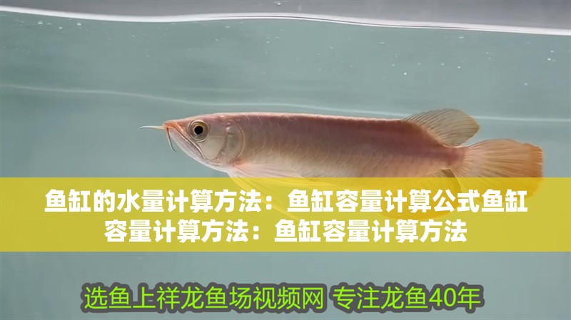 魚缸的水量計算方法：魚缸容量計算公式魚缸容量計算方法：魚缸容量計算方法