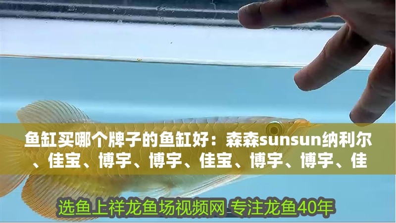魚缸買哪個(gè)牌子的魚缸好：森森sunsun納利爾、佳寶、博宇、博宇、佳寶、博宇、博宇、佳寶魚缸