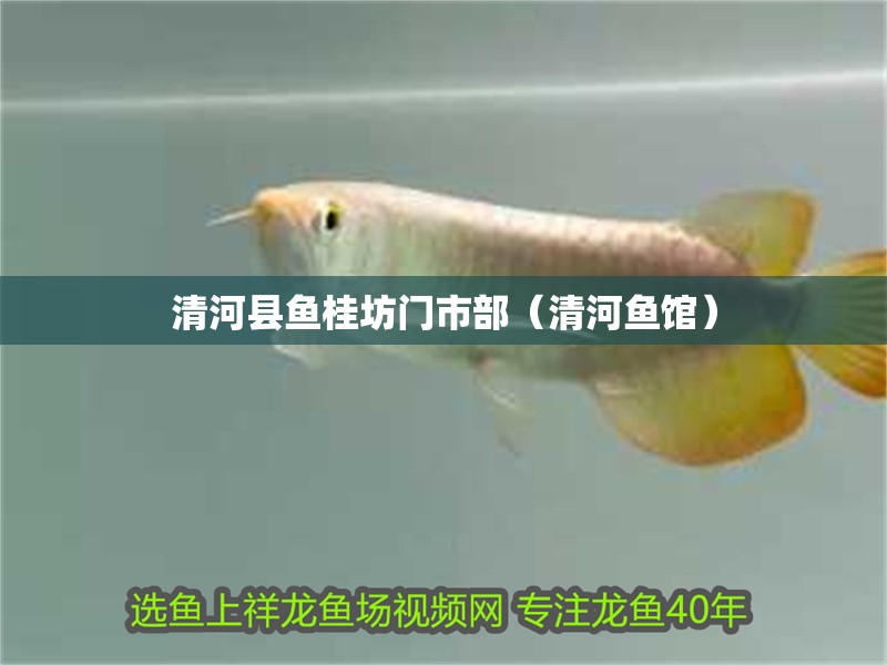 <strong><mark>清河</mark></strong>縣魚桂坊門市部（<strong><mark>清河</mark></strong>魚館）