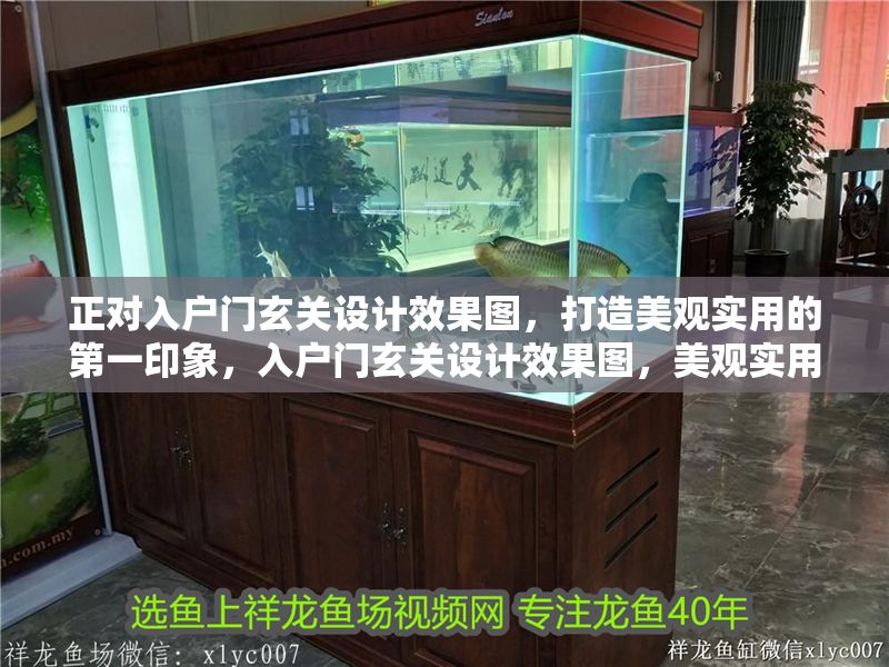 正對入戶門玄關設計效果圖，打造美觀實用的第一印象，入戶門玄關設計效果圖，美觀實用打造完美第一印象