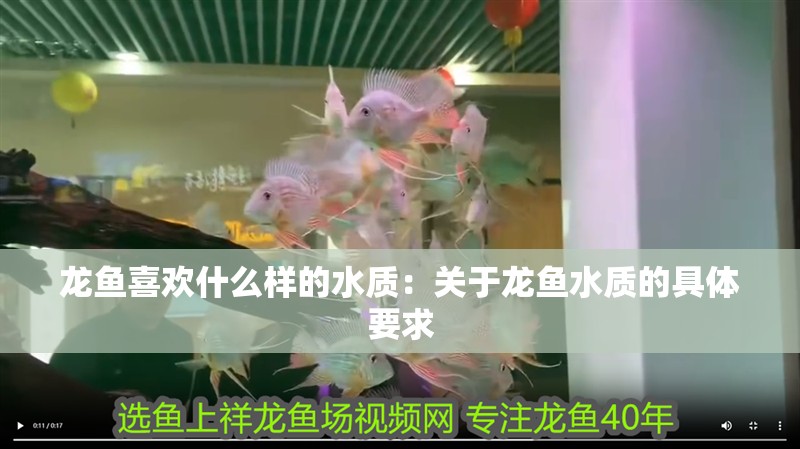 龍魚喜歡什么樣的水質：關于龍魚水質的具體要求