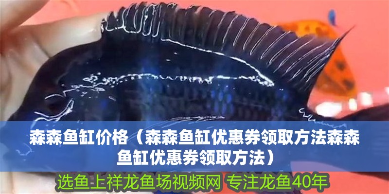森森魚缸價格（森森魚缸優惠券領取方法森森魚缸優惠券領取方法） 森森魚缸價格（森森魚缸優惠券領取方法森森魚缸優惠券領取方法） 魚缸百科
