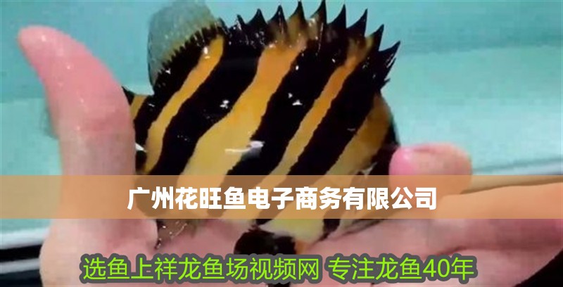 廣州花旺魚電子商務(wù)有限公司