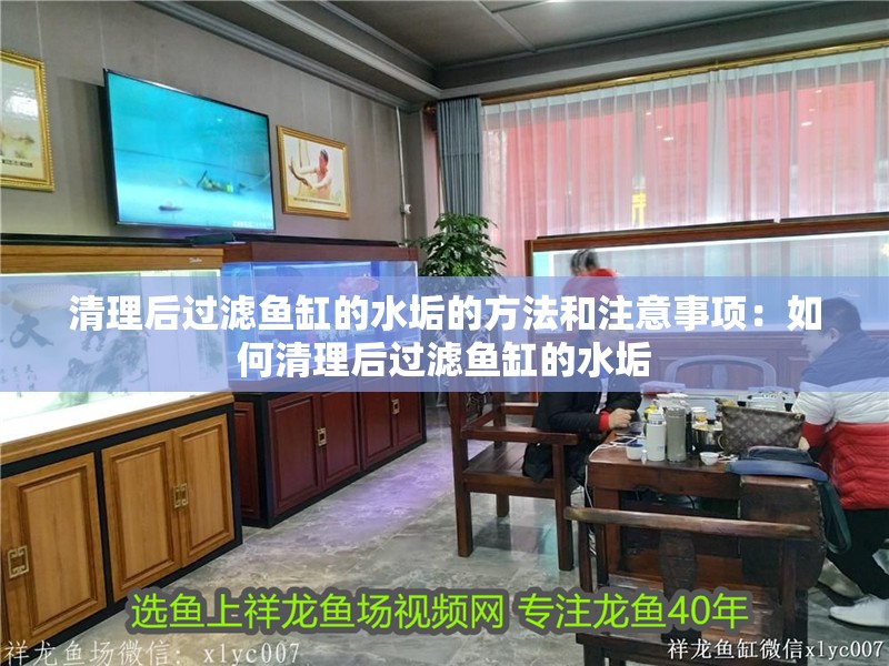 清理后過濾魚缸的水垢的方法和注意事項：如何清理后過濾魚缸的水垢