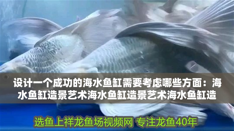 設(shè)計(jì)一個(gè)成功的海水魚缸需要考慮哪些方面：海水魚缸造景藝術(shù)海水魚缸造景藝術(shù)海水魚缸造景技巧