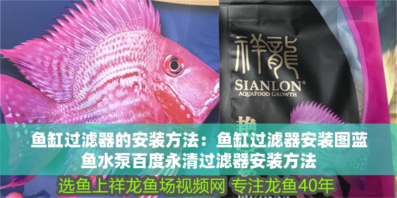 魚缸過濾器的安裝方法：魚缸過濾器安裝圖藍魚水泵百度永清過濾器安裝方法