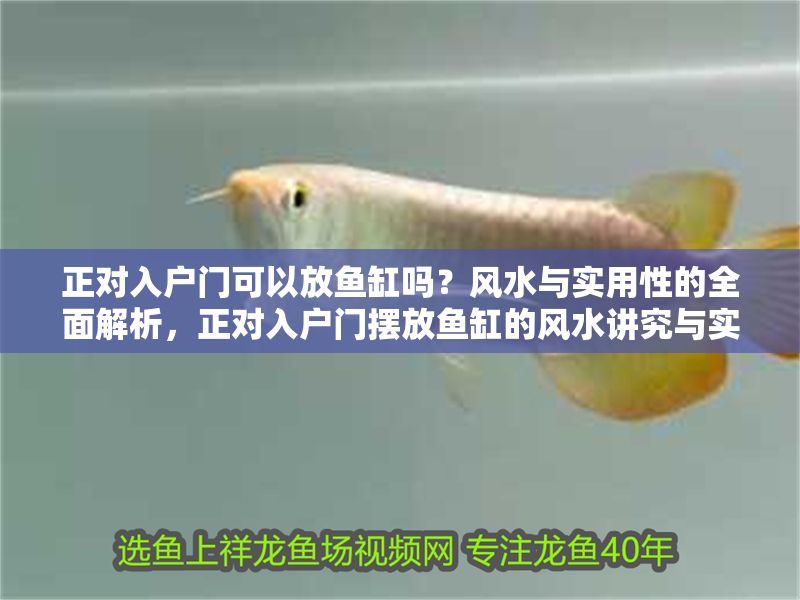 正對入戶門可以放魚缸嗎？風(fēng)水與實用性的全面解析，正對入戶門擺放魚缸的風(fēng)水講究與實用建議