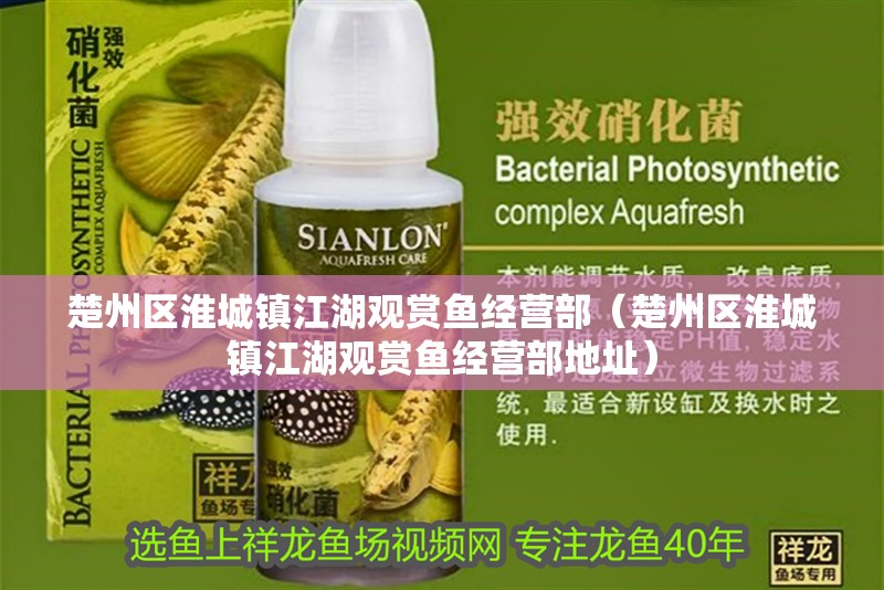 楚州區淮城鎮江湖觀賞魚經營部（楚州區淮城鎮江湖觀賞魚經營部地址） 楚州區淮城鎮江湖觀賞魚經營部（楚州區淮城鎮江湖觀賞魚經營部地址） 全國水族館企業名錄