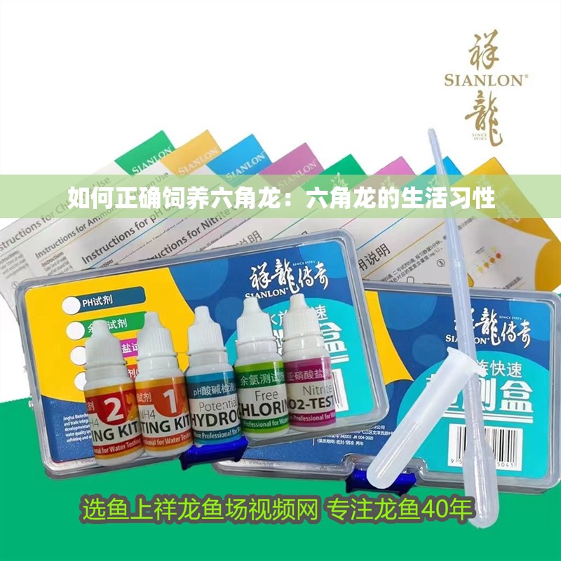 如何正確飼養(yǎng)六角龍：六角龍的生活習(xí)性