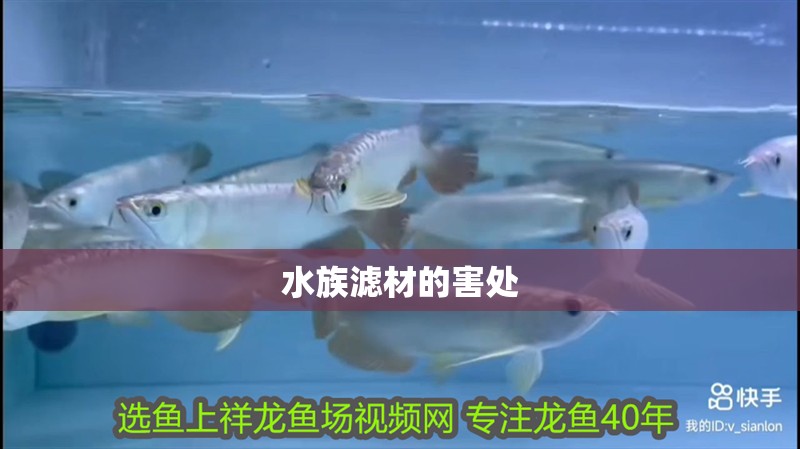 水族濾材的害處