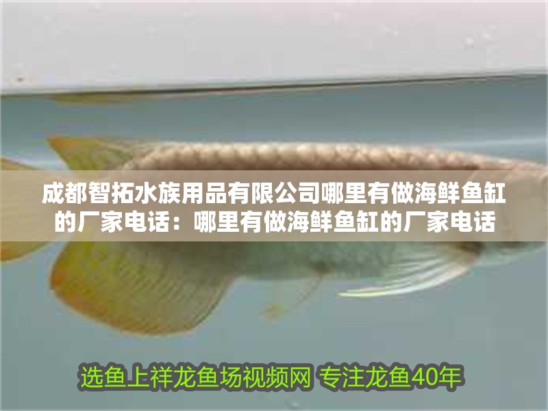 成都智拓水族用品有限公司哪里有做海鮮魚缸的廠家電話：哪里有做海鮮魚缸的廠家電話