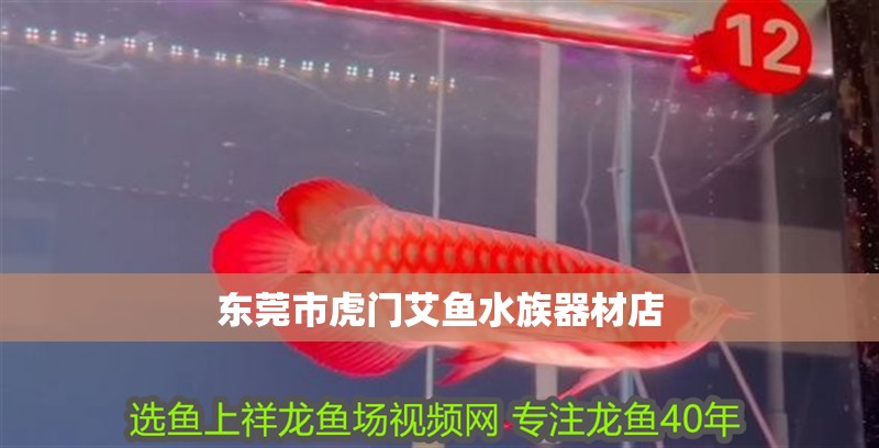 東莞市虎門艾魚水族器材店