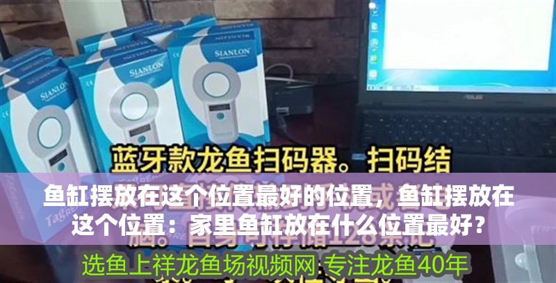 魚(yú)缸擺放在這個(gè)位置最好的位置，魚(yú)缸擺放在這個(gè)位置：家里魚(yú)缸放在什么位置最好？