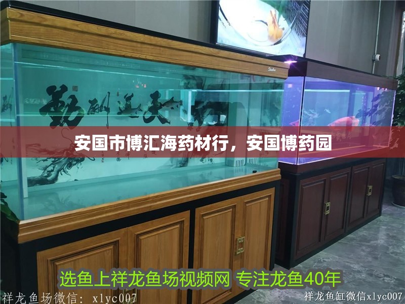 安國市博匯海藥材行，安國博藥園