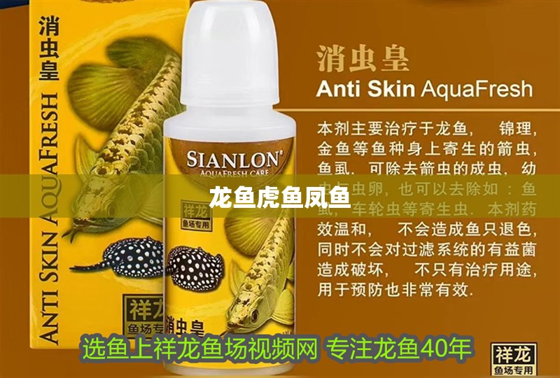 龍魚虎魚鳳魚 龍魚虎魚鳳魚 龍魚百科