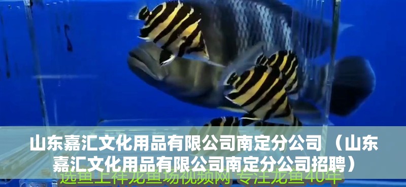 山東嘉匯文化用品有限公司南定分公司 （山東嘉匯文化用品有限公司南定分公司招聘）
