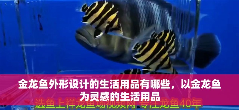 金龍魚外形設計的生活用品有哪些，以金龍魚為靈感的生活用品