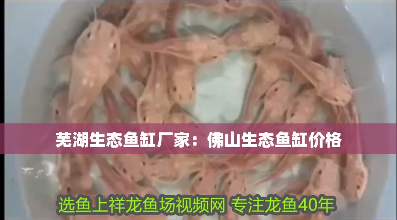 蕪湖生態魚缸廠家：<strong><mark>佛山</mark></strong>生態魚缸價格