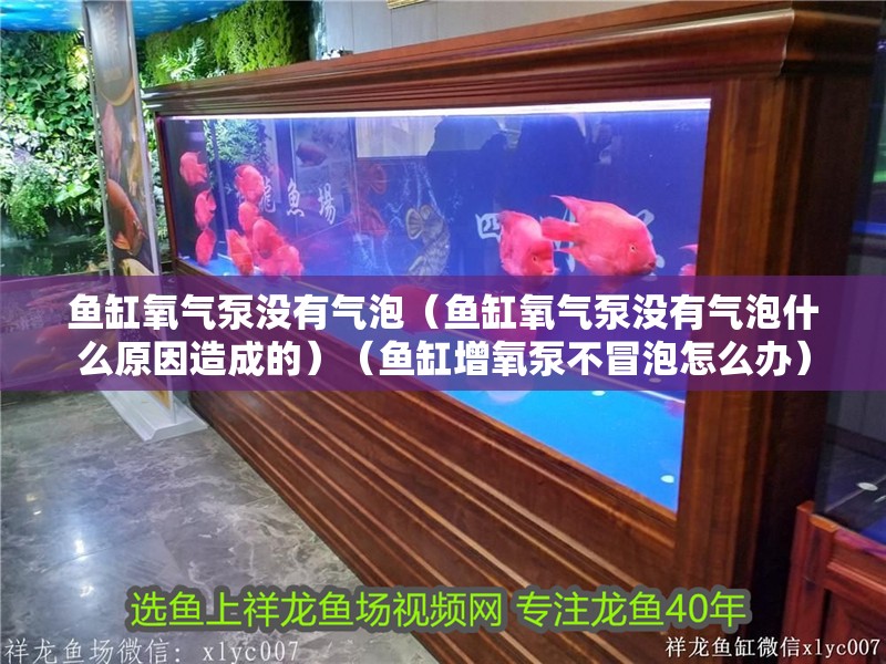 魚缸氧氣泵沒有氣泡（魚缸氧氣泵沒有氣泡什么原因造成的）（魚缸增氧泵不冒泡怎么辦）