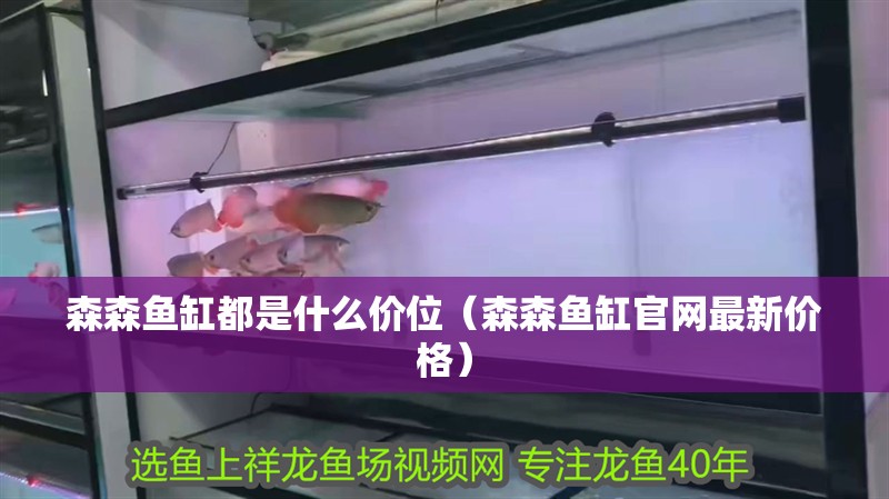 森森魚缸都是什么價位（森森魚缸官網最新價格）
