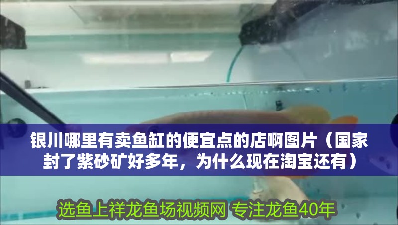 銀川哪里有賣(mài)魚(yú)缸的便宜點(diǎn)的店啊圖片（國(guó)家封了紫砂礦好多年，為什么現(xiàn)在淘寶還有）