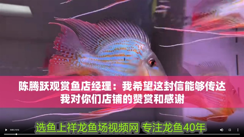 陳騰躍觀賞魚店經(jīng)理：我希望這封信能夠傳達我對你們店鋪的贊賞和感謝