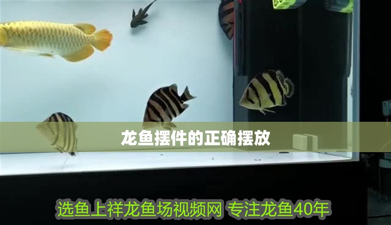 龍魚擺件的正確擺放