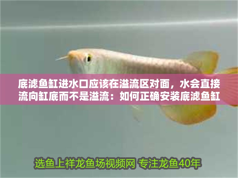底濾魚缸進水口應該在溢流區對面，水會直接流向缸底而不是溢流：如何正確安裝底濾魚缸