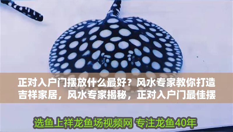 正對(duì)入戶門(mén)擺放什么最好？風(fēng)水專家教你打造吉祥家居，風(fēng)水專家揭秘，正對(duì)入戶門(mén)最佳擺放物品，助你打造吉祥家居！