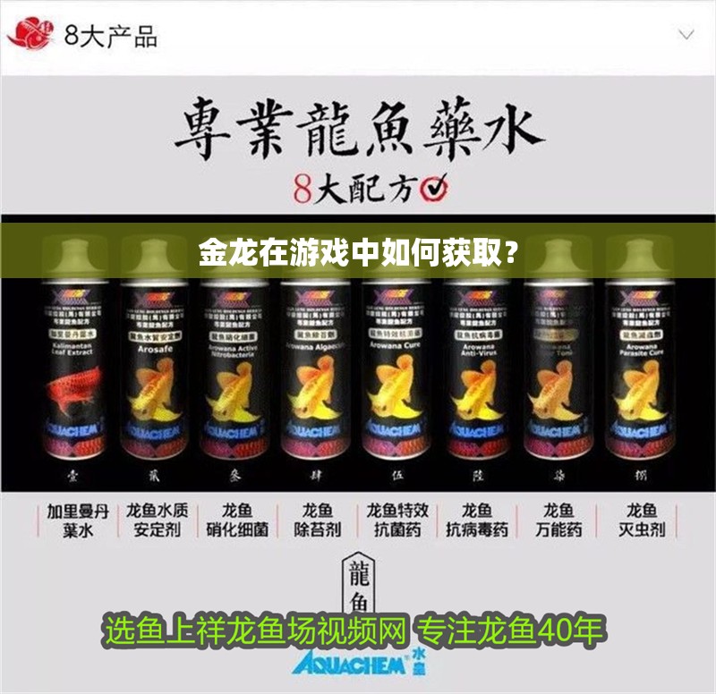 金龍在游戲中如何獲取？