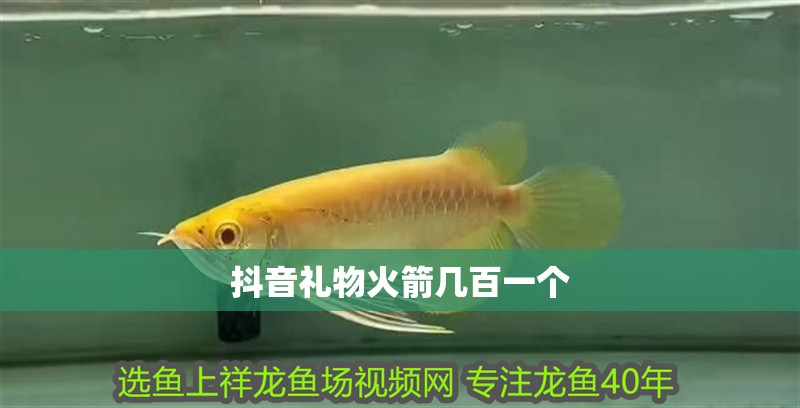 抖音禮物火箭幾百一個