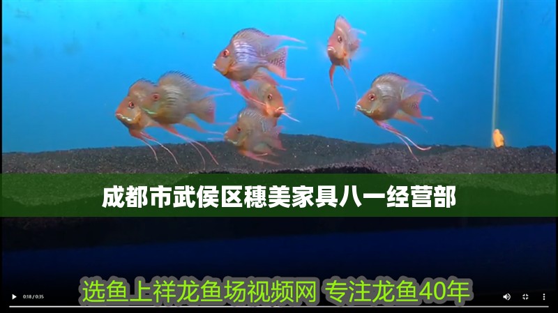 成都市武侯區穗美家具八一經營部