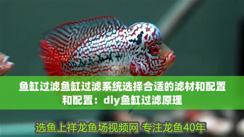 魚缸過濾魚缸過濾系統選擇合適的濾材和配置和配置：diy魚缸過濾原理