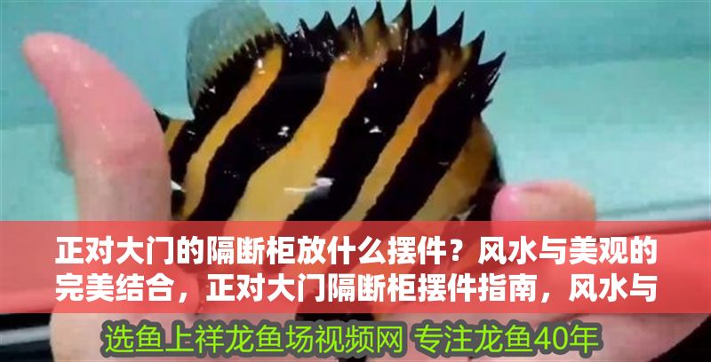 正對大門的隔斷柜放什么擺件？風(fēng)水與美觀的完美結(jié)合，正對大門隔斷柜擺件指南，風(fēng)水與美觀的巧妙平衡