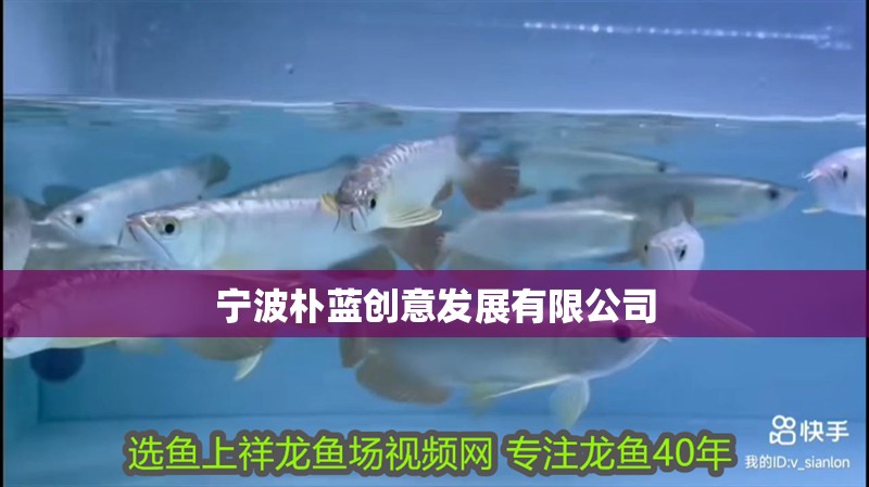 寧波樸藍創意發展有限公司
