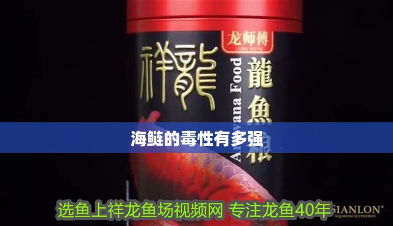 海鰱的毒性有多強(qiáng)