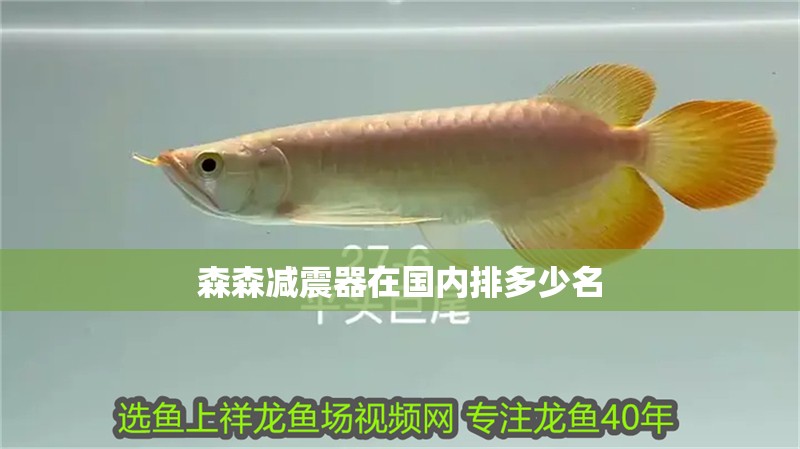 森森減震器在國內排多少名