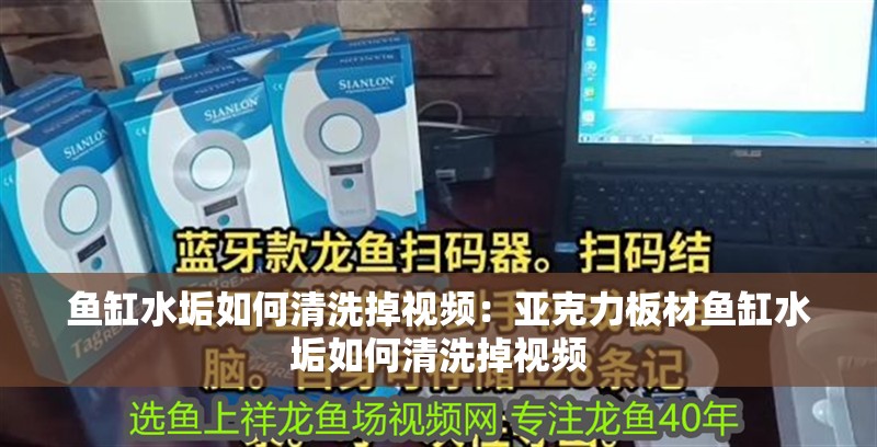 龍魚干蝦有營養嗎 魚缸水垢如何清洗掉視頻:亞克力板材魚缸水垢如何清洗掉視頻 魚缸百科 魚缸水垢如何清洗掉視頻:亞克力板材魚缸水垢如何清洗掉視頻 魚缸水垢如何清洗掉視頻:亞克力板材魚缸水垢如何清洗掉視頻 魚缸百科