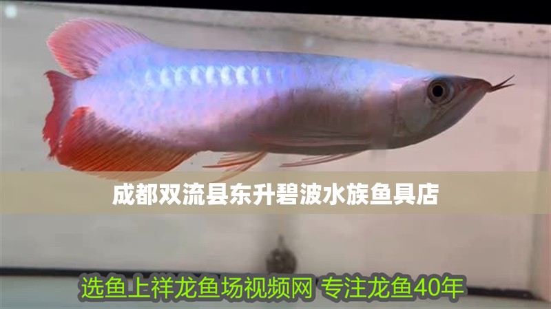 <strong><mark>成都</mark></strong>雙流縣東升碧波水族魚具店